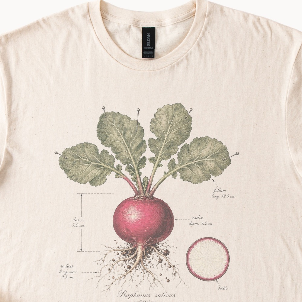 Raphanus Sativus Kitchen Garden Specimen Radish Diagram Tee
